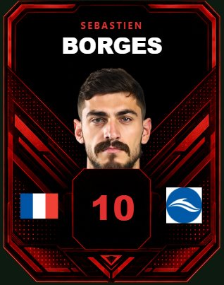 Carte joueur Sébastien Borges